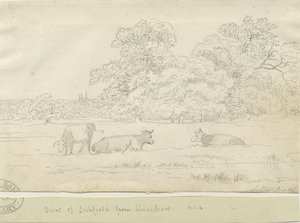 Lichfield - Ansicht von Aldershaw von Henry Curzon Allport