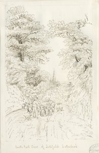 Lichfield Kathedrale - Südostansicht (fern) von Henry Curzon Allport
