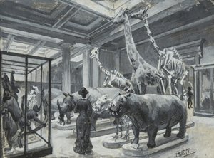 Innenansicht des Britischen Museums mit der Galerie mit Tierausstellungen, ca. 1880 von Henry Edward Tidmarsh