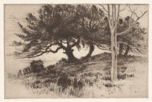 In der Nähe des Meeres