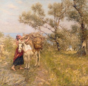 Ligurische Oliven