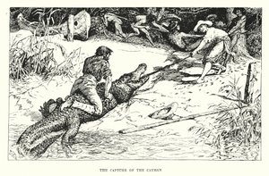 Die Gefangennahme des Kaimans von Henry Justice Ford