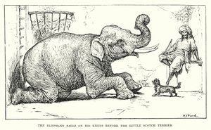 Der Elefant fällt vor dem kleinen schottischen Terrier auf die Knie von Henry Justice Ford