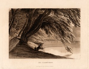 Die Fischteiche von Henry Morton