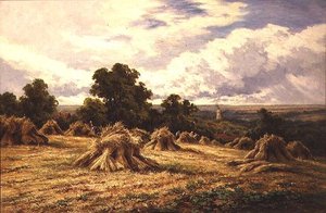 Geerntetes Feld