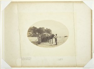 An den Hängen von Cader-Idris, Die letzte Heuladung von Henry Peach Robinson