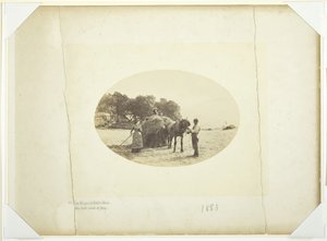 An den Hängen von Cader-Idris, Die letzte Heuladung, 1883 von Henry Peach Robinson