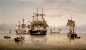 Kriegsschiffe und andere Schiffe in ruhigem Wasser