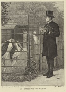 Eine bischöfliche Visitation