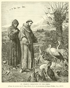 St. Franziskus predigt den Vögeln