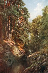 Eine bewaldete Schlucht, Killin, Perthshire von Henry Sutton Palmer