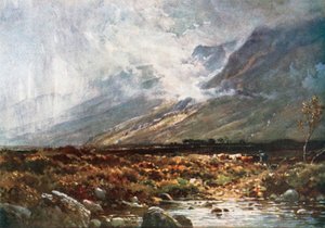 Moor und Berg, Ross-Shire von Henry Sutton Palmer