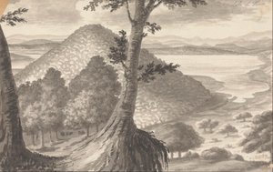 See von Vico