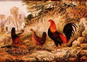 Hahn, Hennen und Küken von Henry Thomas Alken
