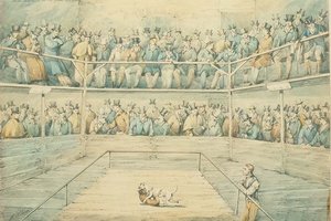 Hundekampf in der Westminster Pitt von Henry Thomas Alken