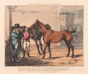 Satz von sieben: Die sieben Lebensalter des Pferdes von Henry Thomas Alken