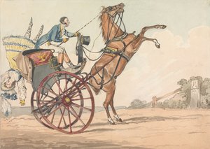 „Sportliche Entdeckungen oder die Leiden des Fahrens:“ ... Auf und nieder oder der Versuch herauszufinden, in welche Richtung Ihr Pferd zu stürzen geneigt ist, rückwärts oder vorwärts von Henry Thomas Alken