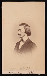 Porträt von Theodore Nicholas Gill 1837-1914, zwischen 1865 und 1870