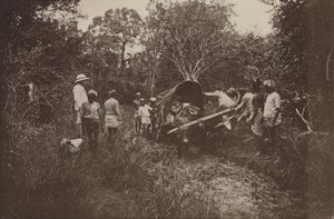 Ruinenstädte von Ceylon: Auf dem Weg nach Polonnaruwa