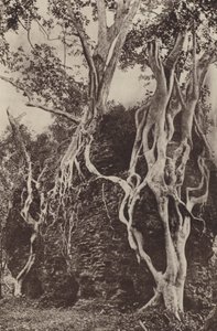 Ruinenstädte von Ceylon: Kotuwa von Henry W. Cave