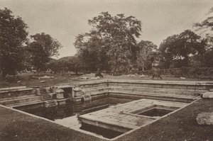 Ruinenstädte von Ceylon: Pokuna