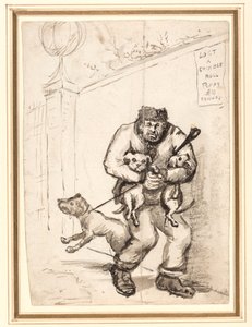 Verloren: Ein chinesischer Bull-Welpe, £10 Belohnung
