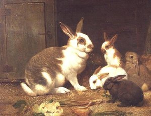 Fütternde Kaninchen