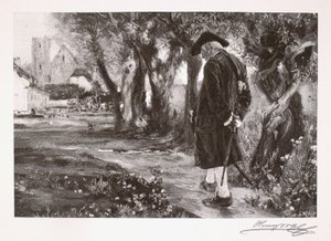 Der Flaneur von Henry Wolf