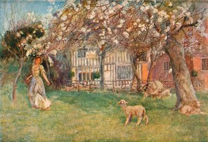 Lämmer, ca. 1904