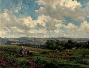Felder in Surrey