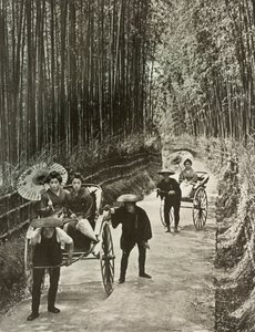 Eine Bambusallee in Kyoto