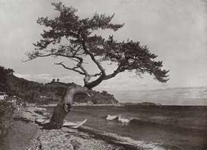 Atami von Herbert Ponting
