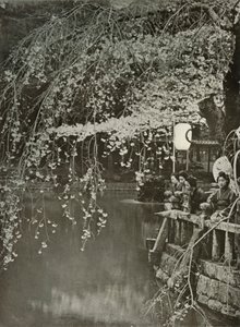 Kirschblütenzeit in Japan, 1910 von Herbert Ponting