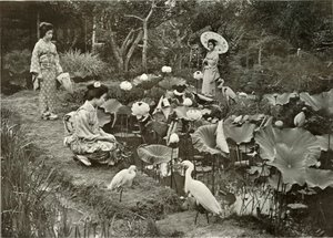 Im Lotus-Land, 1910