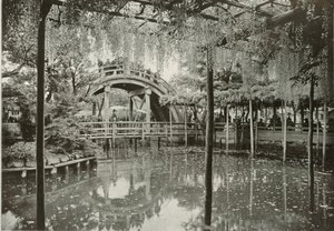 Kameido, 1910 von Herbert Ponting