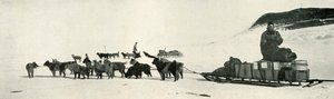 Meares und Demetri mit ihren Hundeteams verlassen Hut Point, um 1911