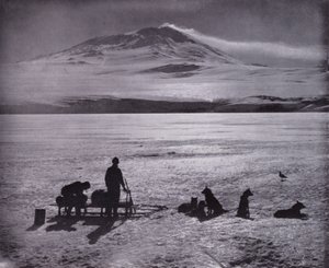 Schlitten und Hunde, mit dem Mount Erebus im Hintergrund von Herbert Ponting