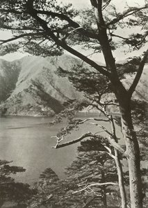 Das Hotel am See, Shoji, 1910 von Herbert Ponting