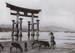 Das alte Torii in Miyajima