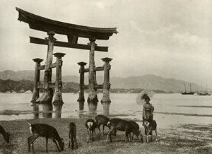 Das alte Torii in Miyajima, 1910
