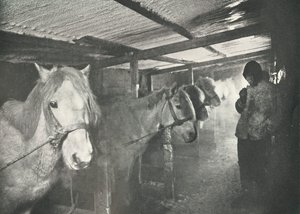 Die Ställe im Winter, um 1910-1911, 1913