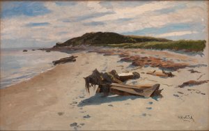 Cape Cod, Strand von Herman Hartwich