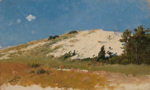 Cape Cod, Sanddüne, 1894 von Herman Hartwich