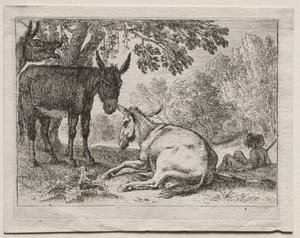 Esel von Herman van Swanevelt