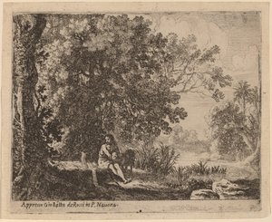 Johannes der Täufer in der Wüste von Herman van Swanevelt