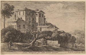 Ansicht des Weinbergs der Villa Mamsrona