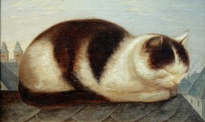 Katze