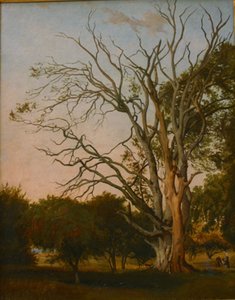 Waldszene mit einem toten Baum