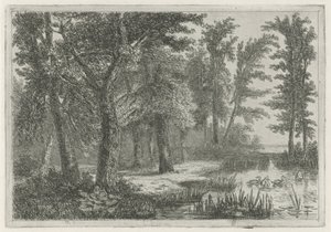 Waldlandschaft mit einem Teich und Enten