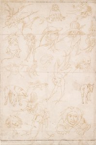 Groteske Studien, ca. 1500-1520 von Hieronymus Bosch